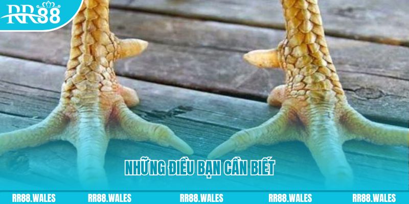 Vảy vấn cán và những điều bạn cần biết